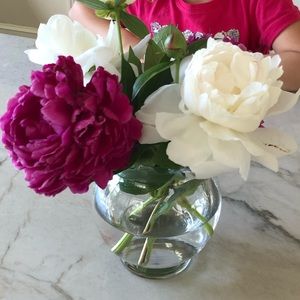 Meet your Posher, Allison